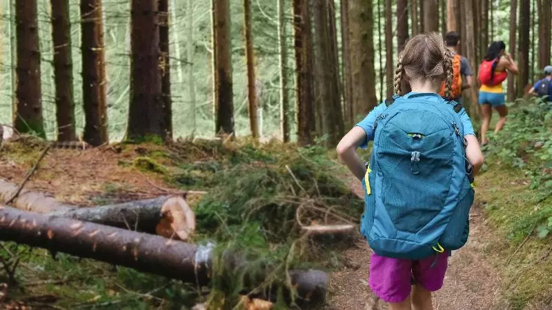 Hotelli Holiday Inn Club Vacations Apple Mountain Resort At Clarkesville