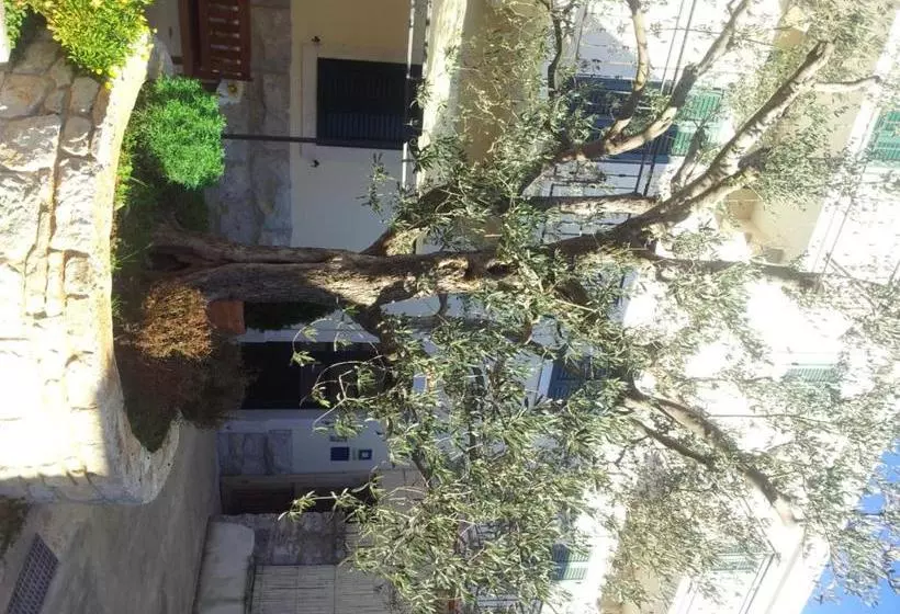 هتل Casa Saina Rovinj