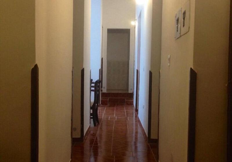 בית מלון כפרי Guesthouse Nelson