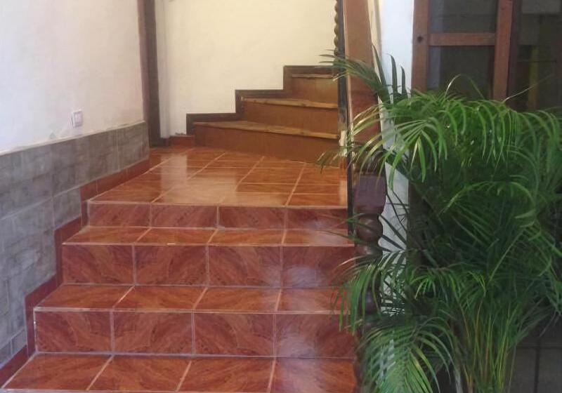 בית מלון כפרי Guesthouse Nelson