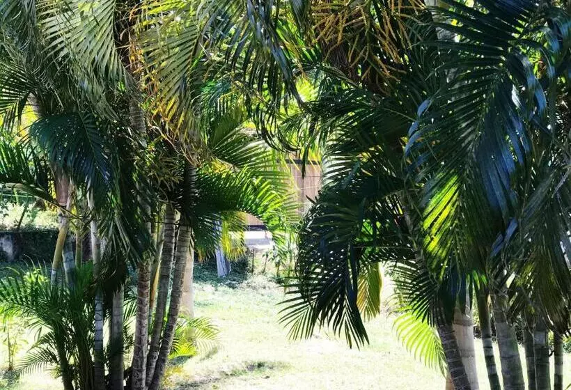 Hotelli Tsunami Hostel