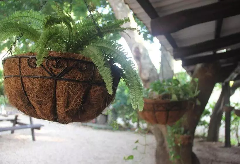 Hotelli Tsunami Hostel