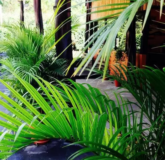 Hotelli Tsunami Hostel