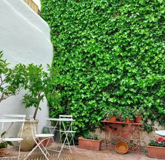 Hotelli Casa Shelly Hospederia