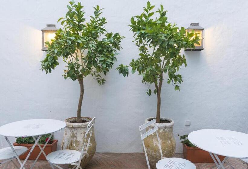 هتل Casa Shelly Hospederia