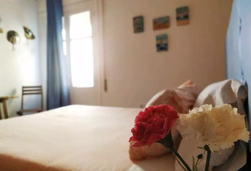 هتل Hostal Casa Nautilus