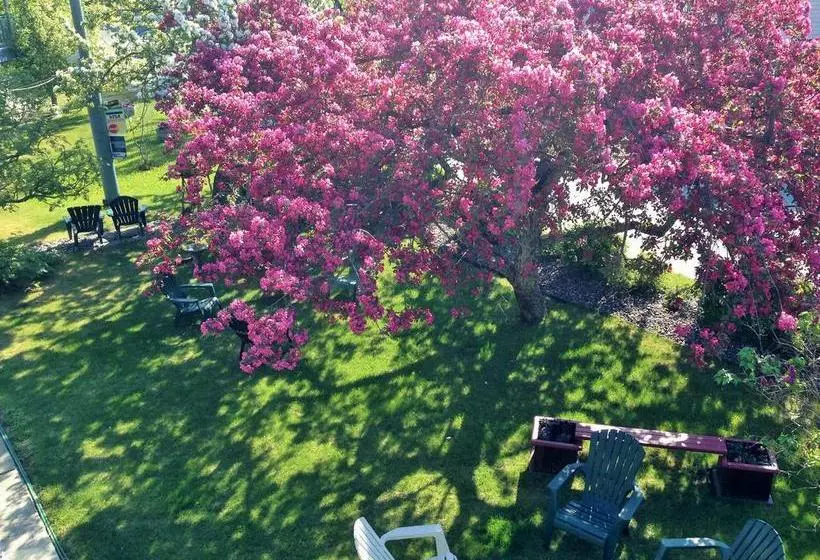 Hotelli Lakeshore Inn & Suites