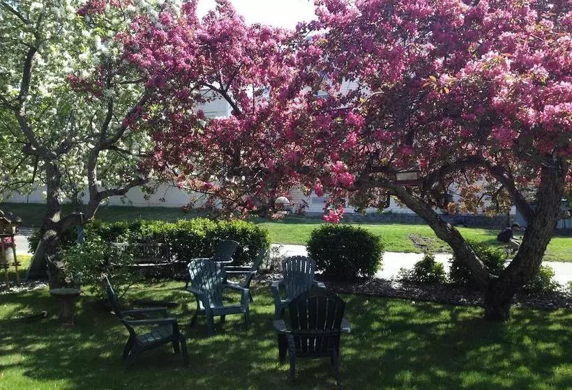 Hotelli Lakeshore Inn & Suites