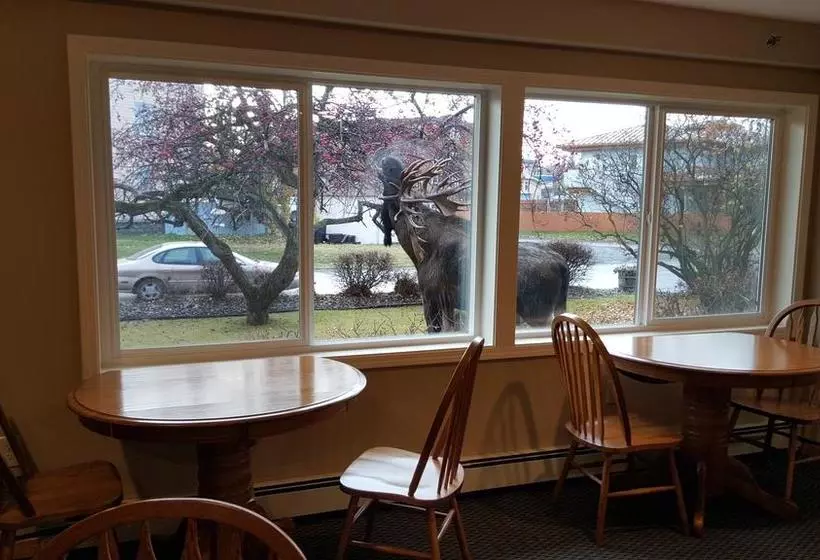 Hotelli Lakeshore Inn & Suites