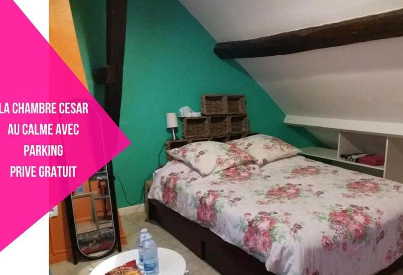 호텔 Cathy Blue Lodge