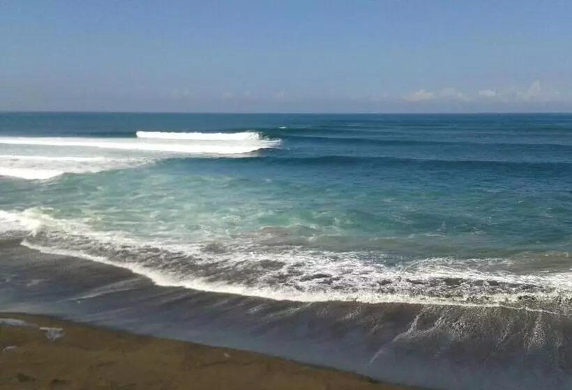 ホテル Pondok Pisces Bungalows