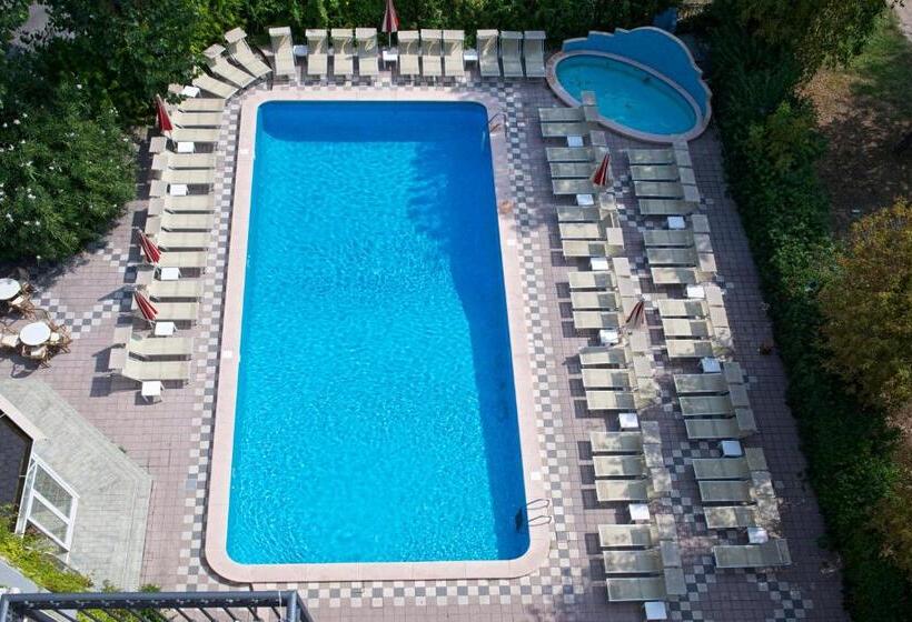 בית מלון כפרי President