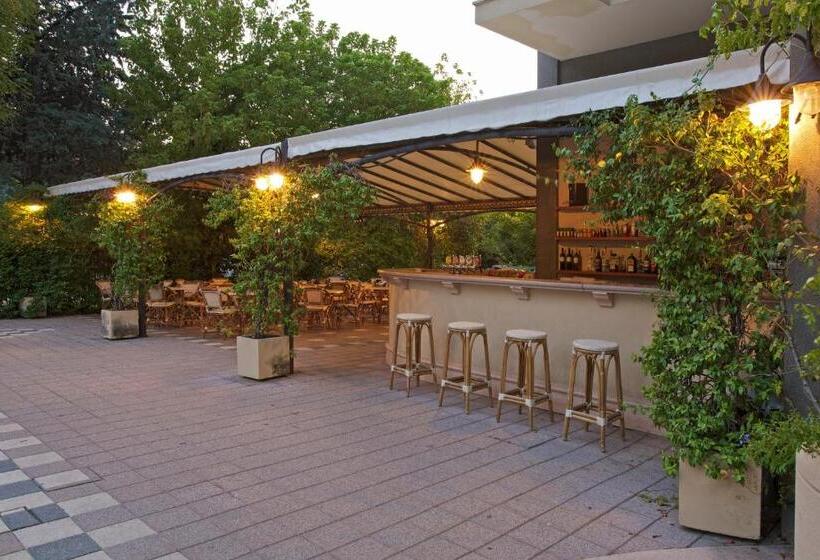 בית מלון כפרי President