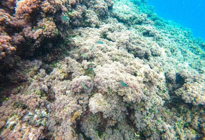 هتل Residence La Pineta