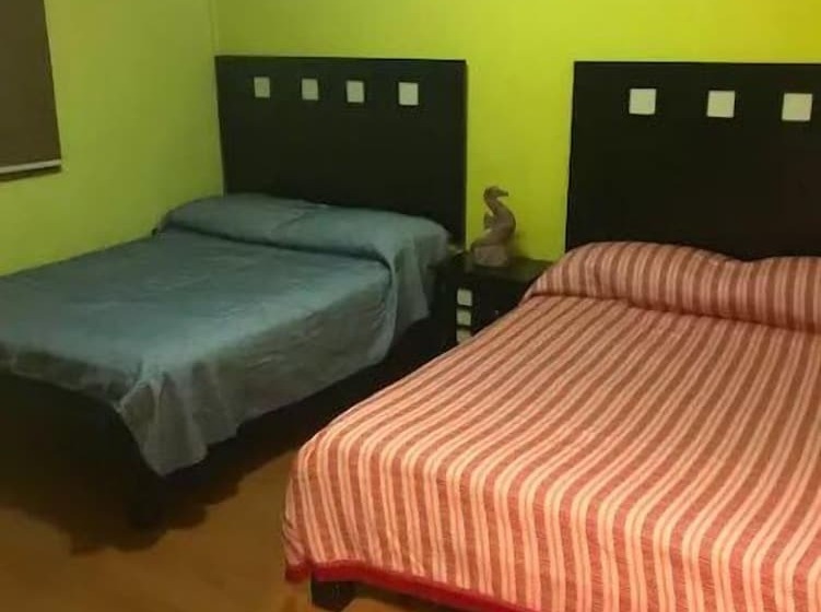 ホテル Casa Mexicana Con Terraza