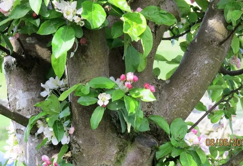 Hotelli Eastview Bed And Breakfast