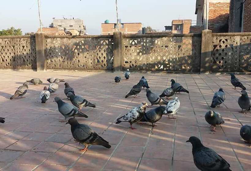 هتل Mahamanjushree Homestay