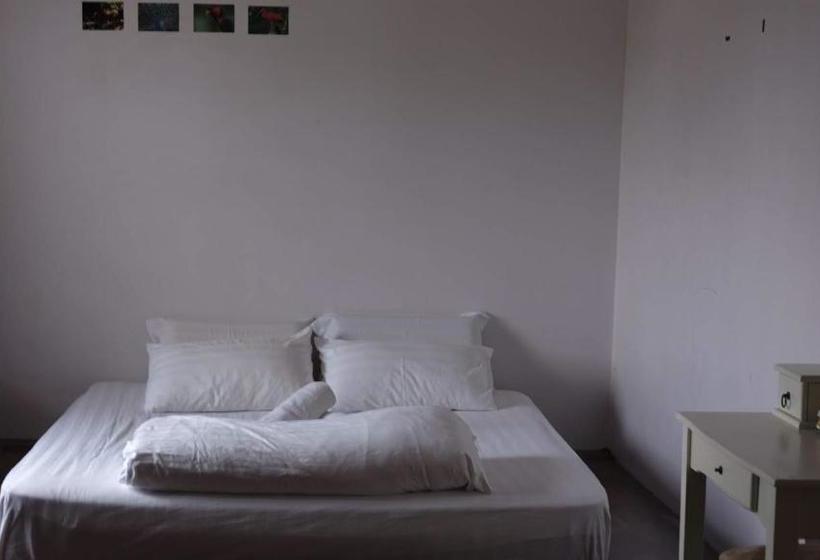 هتل 3 Little Birds Home, 100meter To Jonkerwalk