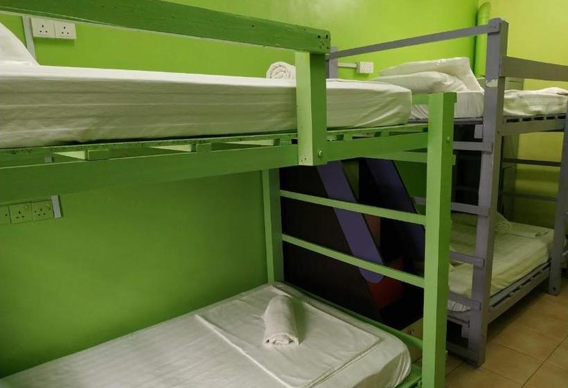 هتل 3 Little Birds Home, 100meter To Jonkerwalk