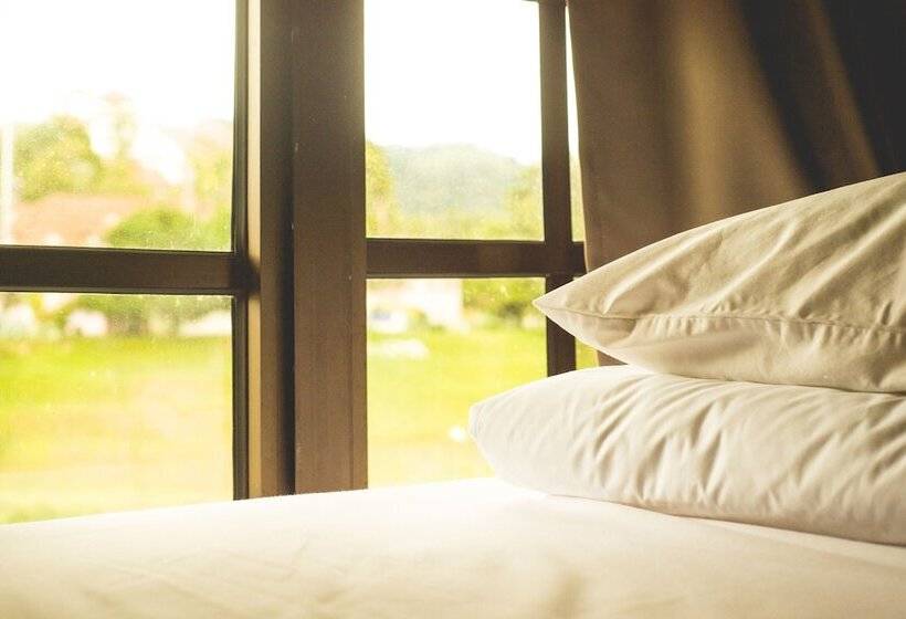 ホテル Traveller Bunker Hostel 1