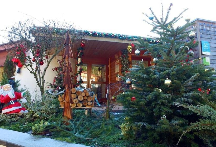 Отель Vvf Les Fontaines Des Vosges