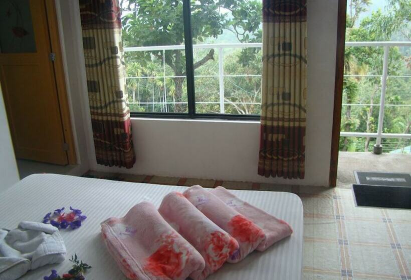 Hotel Niceview Guesthouse