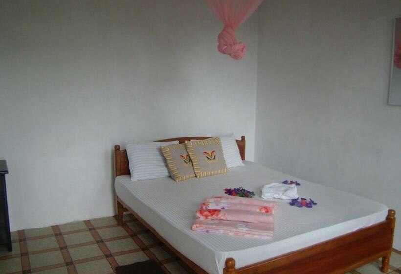 Hotel Niceview Guesthouse