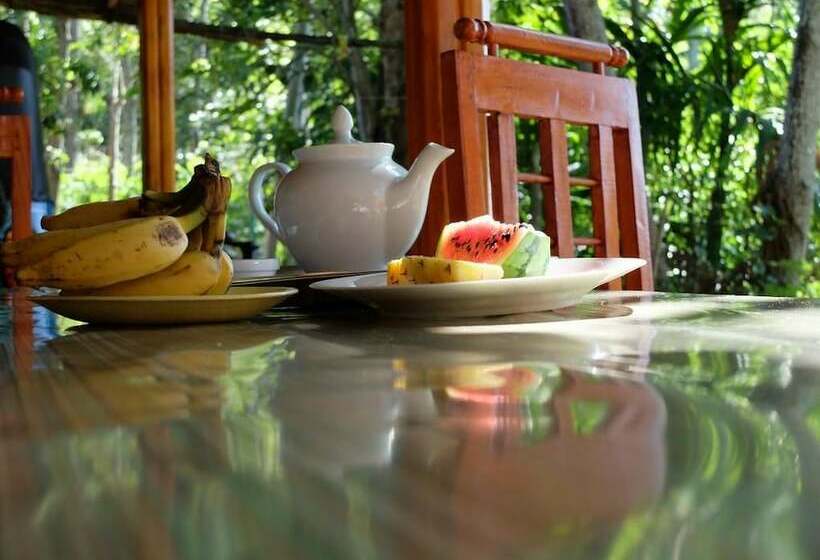 Hotel Niceview Guesthouse