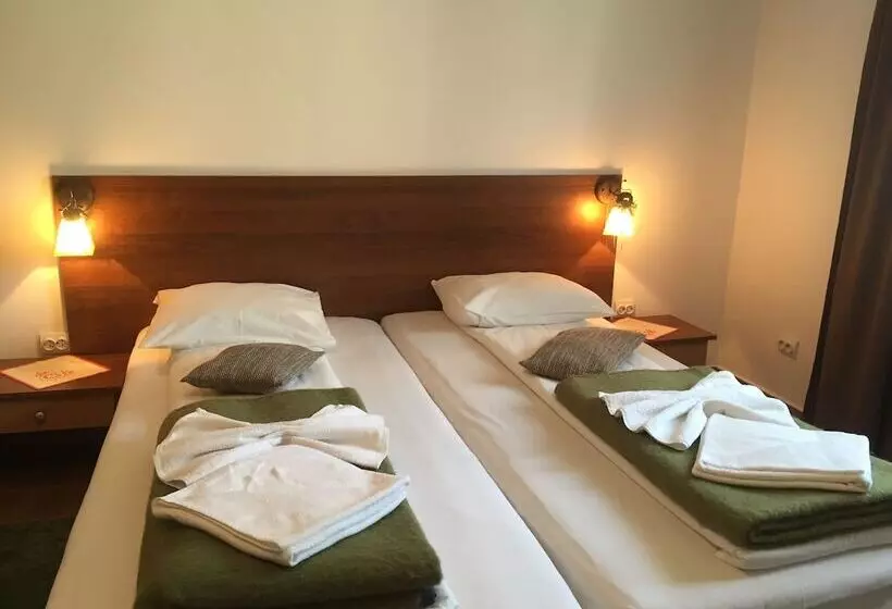 هتل Pensiunea Buon Gusto Sibiu Motorcyle Friendly,city Center