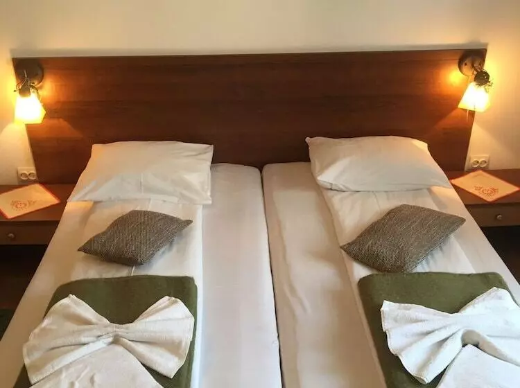 هتل Pensiunea Buon Gusto Sibiu Motorcyle Friendly,city Center