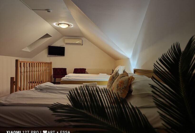 فندق Pensiunea Buon Gusto Sibiu Motorcyle Friendly,city Center