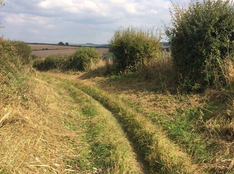 Hotel Shepherds Barn