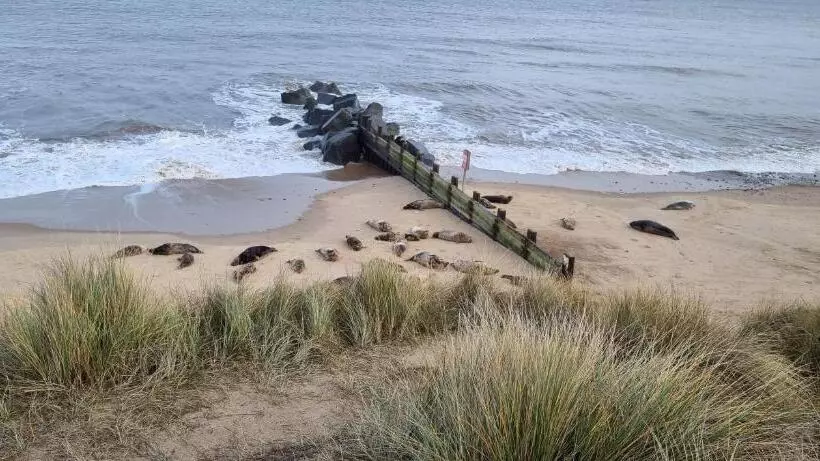 Hotelli Twin Palms Guesthouse