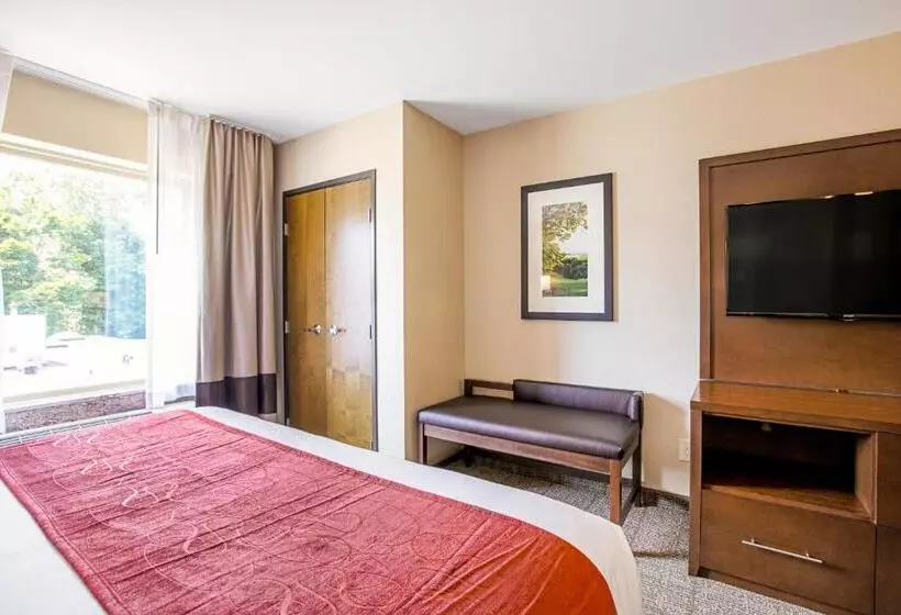 ホテル Comfort Suites Fishkill Near Interstate 84