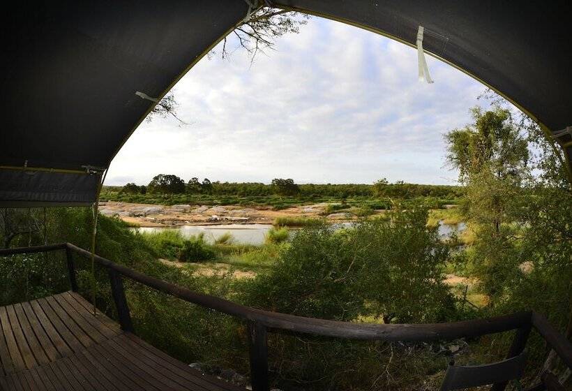 Hotel Mtomeni Safari Camp