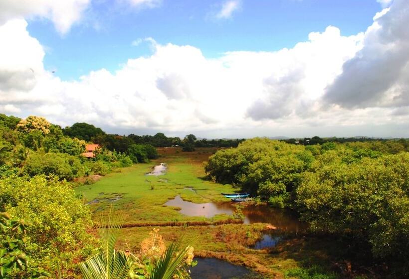 בית מלון כפרי Peacock Land