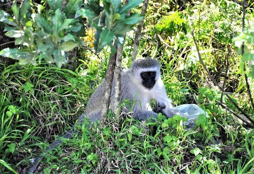 Hotelli Viewpoint Lodge & Safari Tours