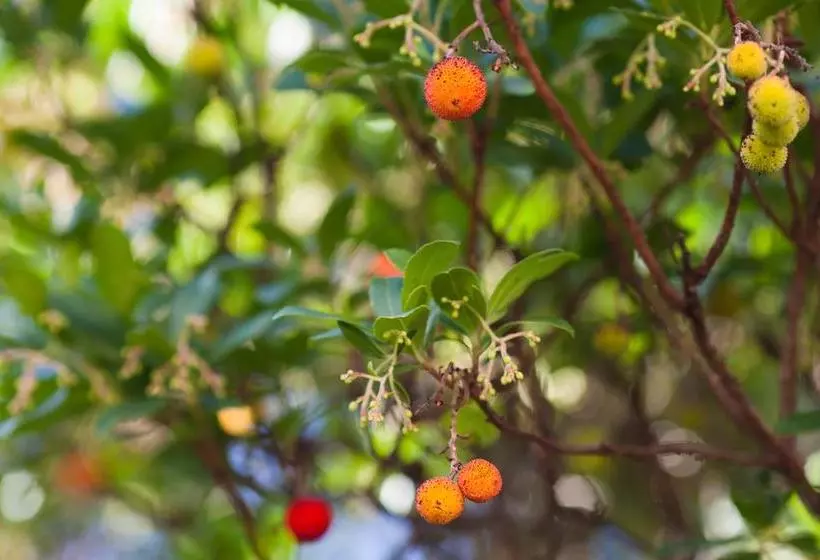 هتل Resort Duga Uvala