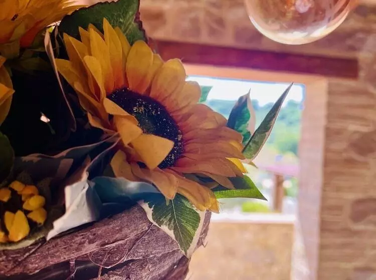 ホテル Casale Serena