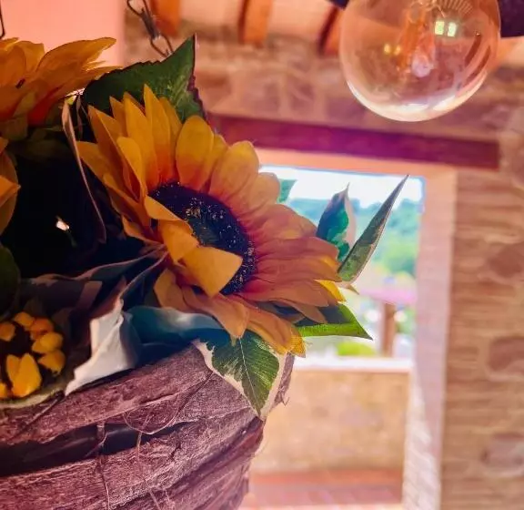 ホテル Casale Serena