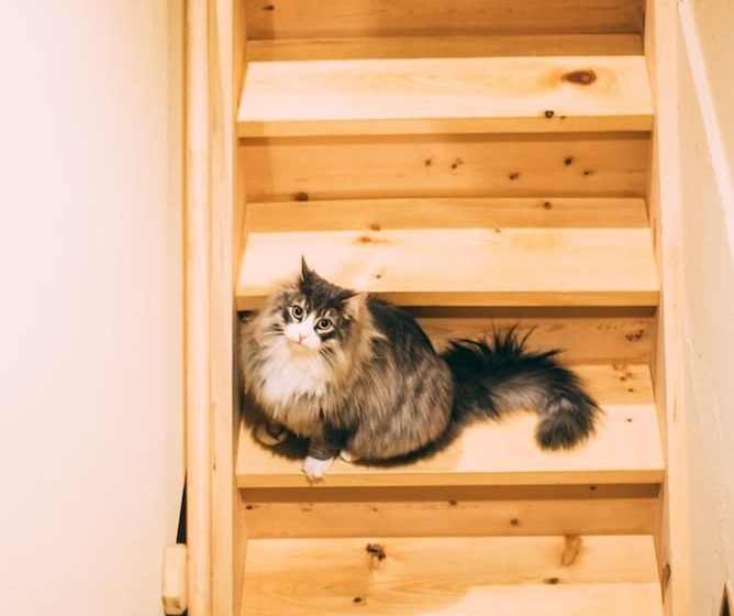 בית מלון כפרי Hida Takayama Guest House Tau   Hostel