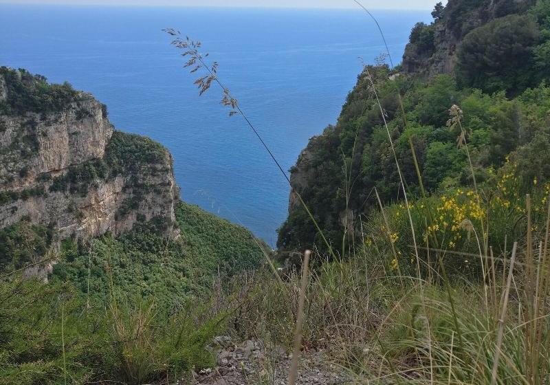 ホテル Il Pertuso