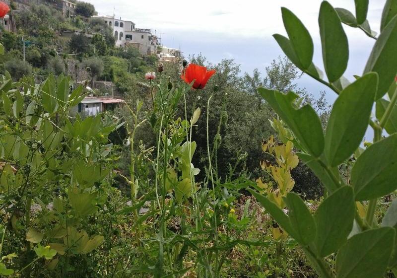 ホテル Il Pertuso