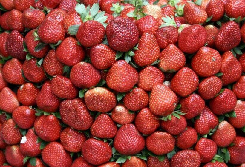 בית מלון כפרי Pine Breeze Cottages