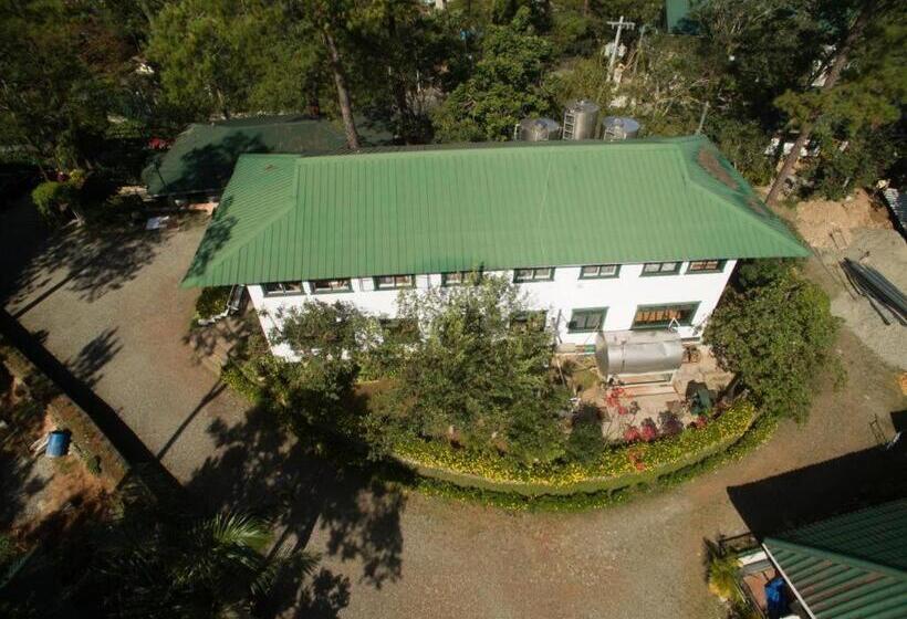 בית מלון כפרי Pine Breeze Cottages