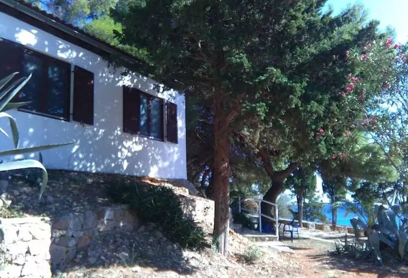 Hotelli Tourist Resort Milna Vis