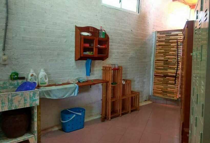 هتل Meet By Chance   Hostel