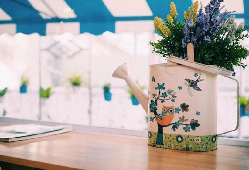 בית מלון כפרי The Sugar Hostel