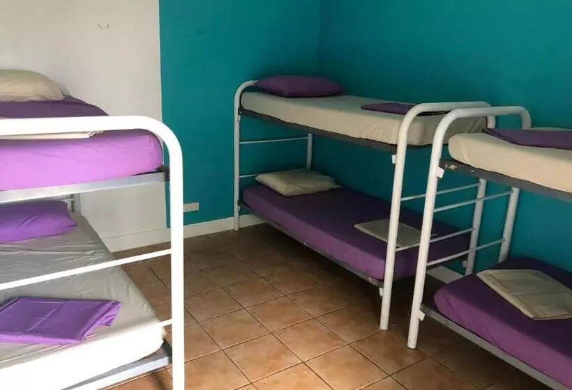 هتل Darwin Hostel