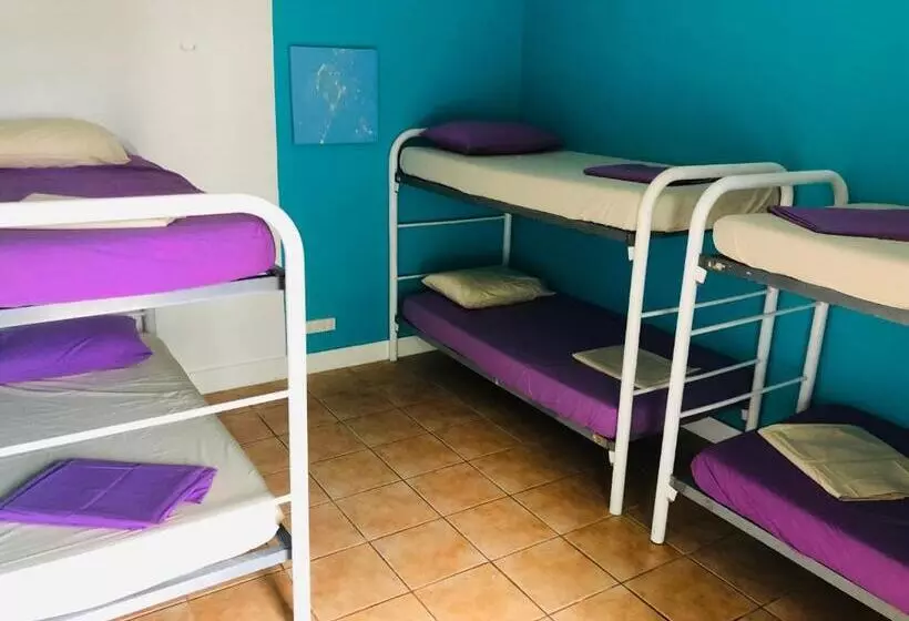 هتل Darwin Hostel